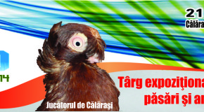 Târg expoziţional regional de porumbei, păsări şi animale mici de rasă
