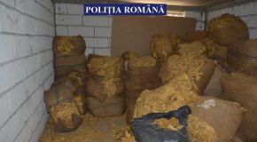 UPDATE – PERCHEZIȚII LA PERSOANE BĂNUITE DE CONTRABANDĂ CU TUTUN