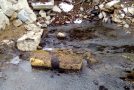Bombă ecologică la Grădina ZOO. Sute de litri de păcură ”băltesc” la suprafața solului